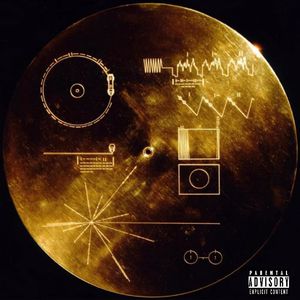 办公室秘书nylon丝袜 女性
