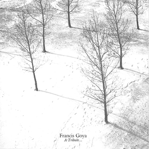 办公室秘书nylon丝袜 女性
