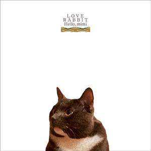 办公室秘书nylon丝袜 女性
